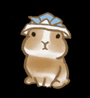 うさぎ いいね GIF