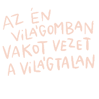 Punnany Massif Dalszoveg Sticker