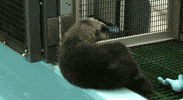 GIF by Mashable