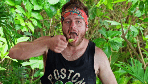 Hungry Reward GIF by Survivor CBS