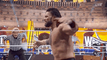 Roman Reigns Sport GIF by WWE