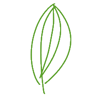 Naturnaht leaf pure natur blatt Sticker