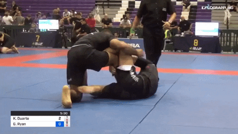 chasesmithflo giphygifmaker GIF