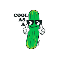 AquaFlask aquaflask Sticker