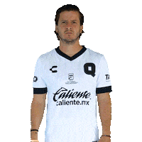 Liga Mx Gallos Sticker by Club Querétaro