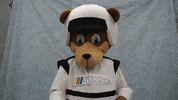Green Flag Reaction GIF by The NASCAR Foundation