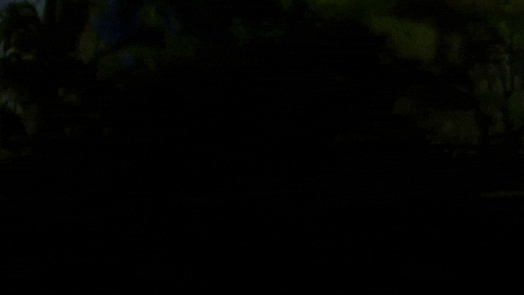 Film Art GIF by jorgemariozuleta