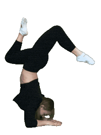 Active Sticker by Fit&More