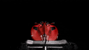 Formula 1 Love GIF by Formula Santander