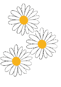 Flowers Daisy Sticker