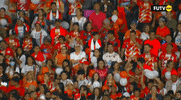 GIF by TD Más