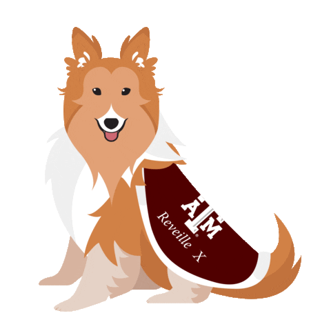 Texas Am Dog Sticker by Texas A&M University