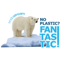 Earth Day Sticker by sodastreams