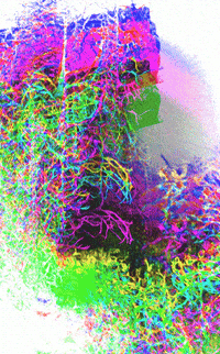 glitch internet GIF
