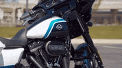 Ride GIF by Harley-Davidson