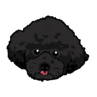 Black Dog Doodle Sticker by Neat Pets Mementos