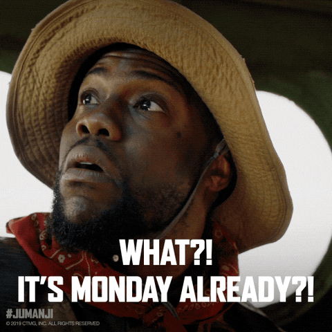 Movie gif. Kevin Hart as Franklin Finbar in Jumanji, wearing a bandana around his neck and a tan safari hat, looks around with a shocked expression. Text, "What?! It's Monday already?!"