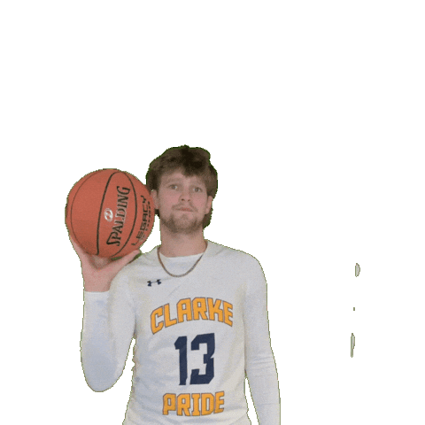 Mens Basketball Sticker by Clarke University