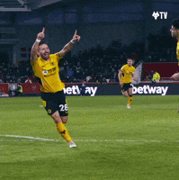 Premier League Football GIF by Wolves