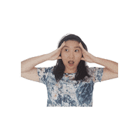 exseedidiomas omg crazy exseed idiomas Sticker