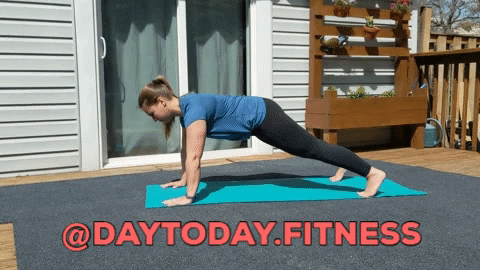 daytodayfitness giphygifmaker planks day to day fitness plank variations GIF