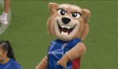 Lets Go Clap GIF by National Women's Soccer League