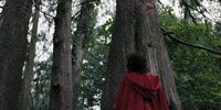 Jenna Ortega Forest GIF by A24