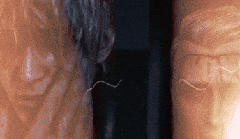 Germany Horror GIF by Wired Productions