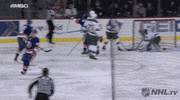 Celebrate Ice Hockey GIF by NHL