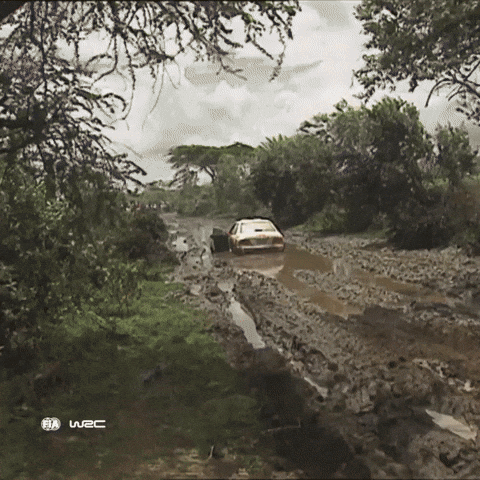 Bad Luck Monday GIF by FIA World Rally Championship