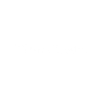DinkyDodo reusable nappies dinky dodo dodo mail Sticker