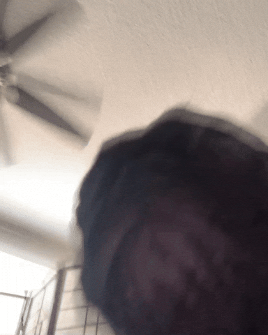 French Bulldog Dog GIF by TruRebels Distro