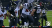 Houston Texans Football GIF by NFL