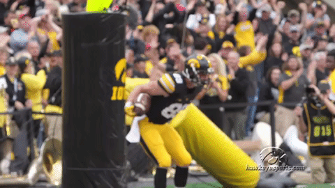 hawks GIF by University of Iowa Hawkeyes Athletics