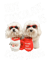 Merry Christmas Dog Sticker by HammyandBrody