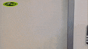 moini GIF by MC Fitti