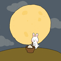 Full Moon Rabbit GIF