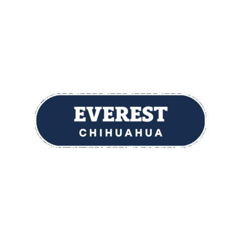 Aguascalientes Sticker by TDLA