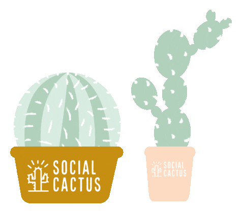 Rocket Coach Sticker by Social Cactus Coaching