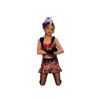 dancedynamics dance school north arkansas Sticker