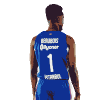 Sport Basketball Sticker by Anadolu Efes SK