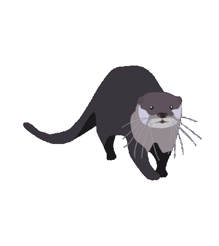 Otter Otterly Adorable Sticker by Cincinnati Zoo