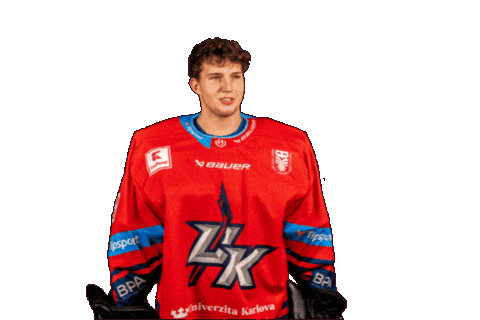 Ukkings Sticker by UK KINGS PRAGUE