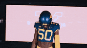 College Football GIF by WVU Sports