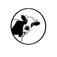 Vegetarisch Veganismus Sticker by Team Vegan