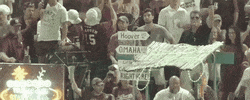 World Series Baseball GIF by NCAA Championships