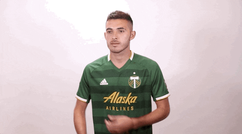 portland timbers mls GIF by Timbers