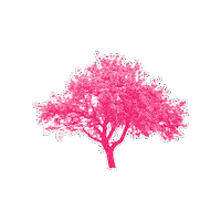 Politik Sticker by NEOS