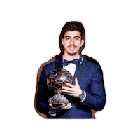 Meme Insiders Sticker by K
