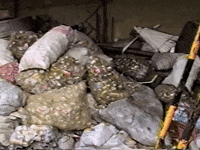 Vintage Vhs GIF by jorgemariozuleta